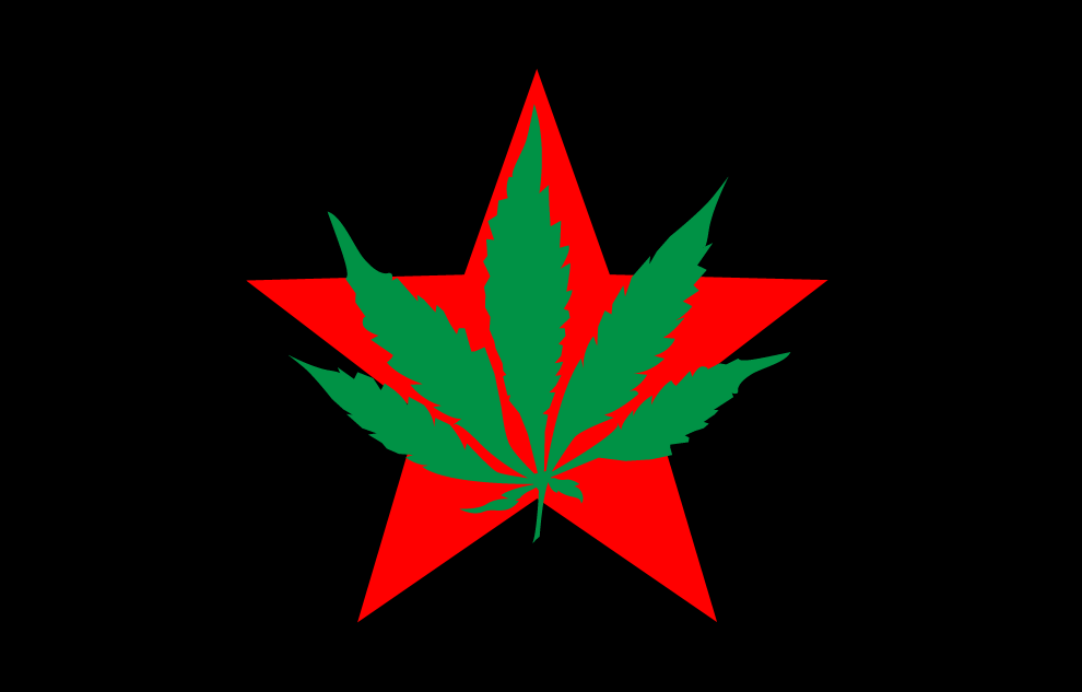 Youth International Party Logo