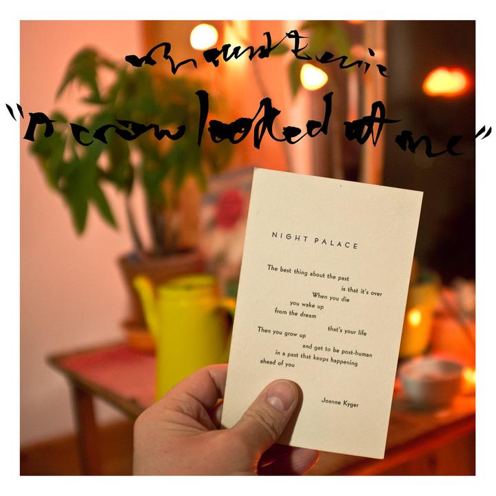 Mount Eerie A Crow Looked At Me Cover WW25032017