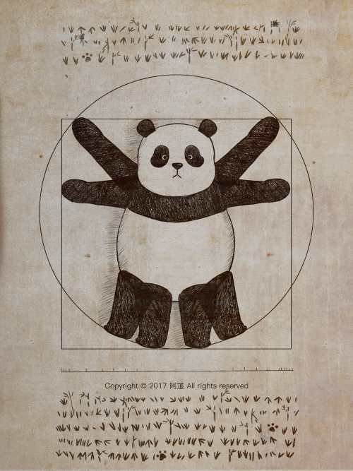 Panda Art 15