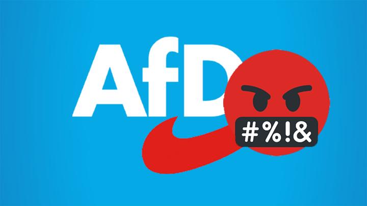 afd diskurs facebook