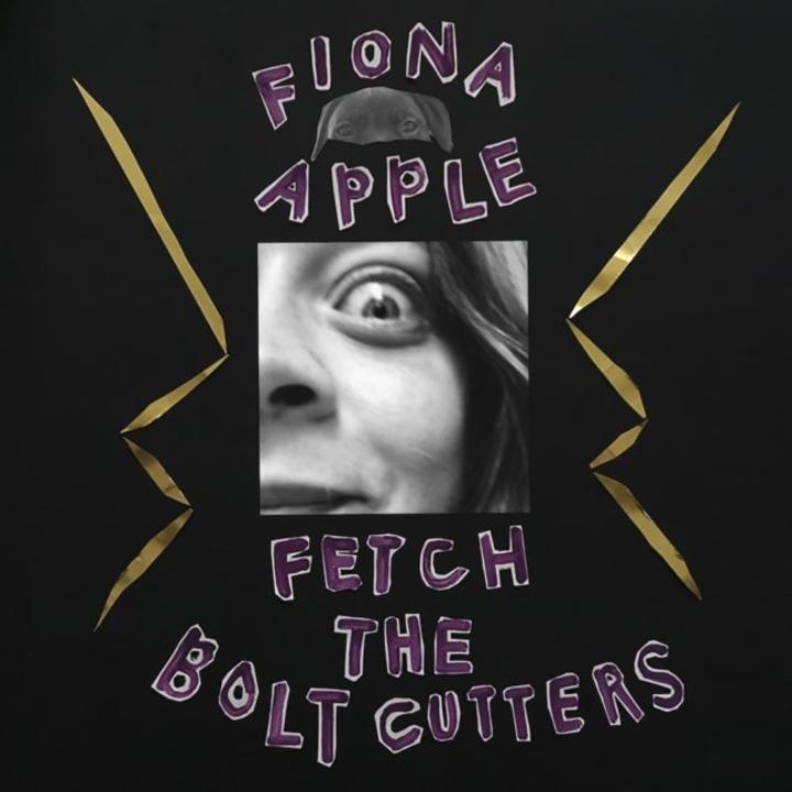 Fiona Apple Fetch The Bolt Cutters Cover