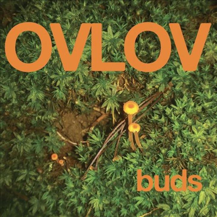 Ovlov Buds Cover