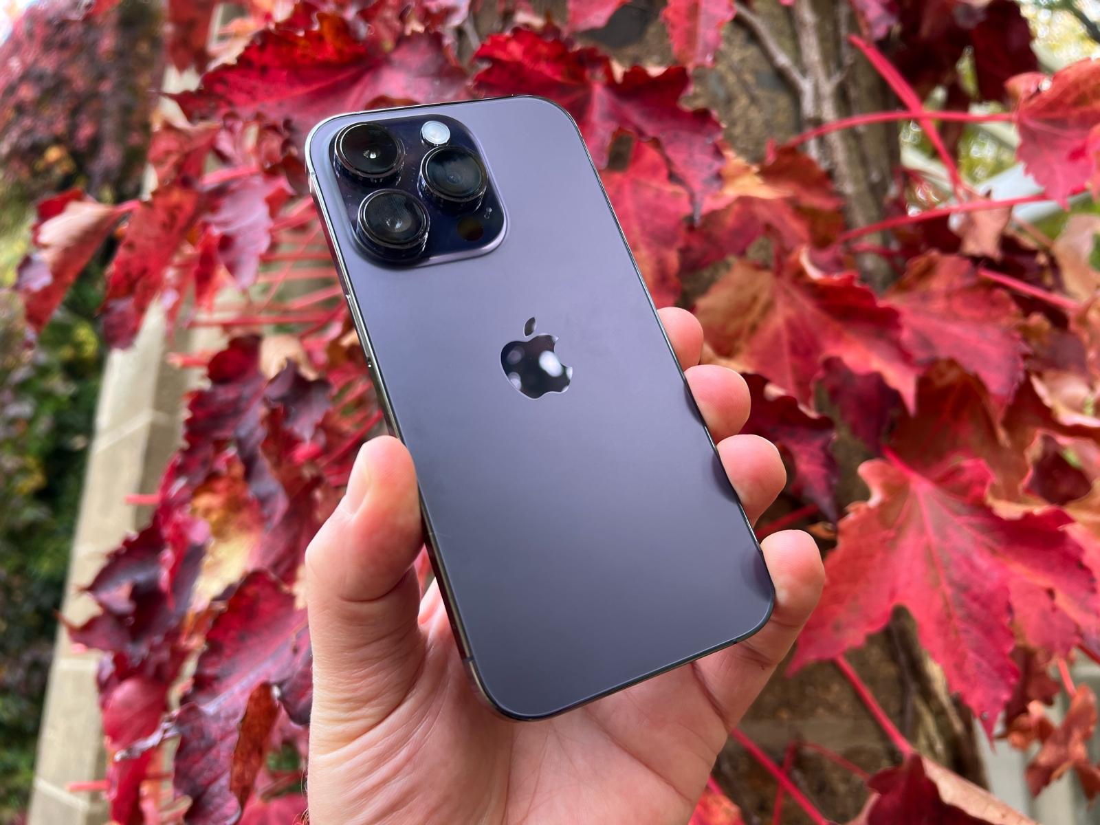Das iPhone 14 Pro in dunkellila vor tiefrotem Herbstlaub