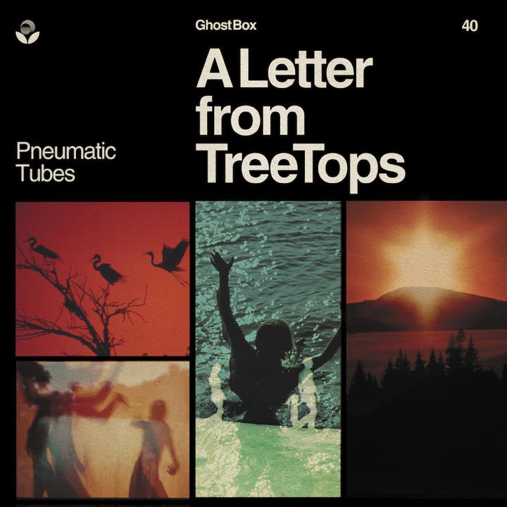 Pneumatic Tubes A Letter from TreeTops Cover