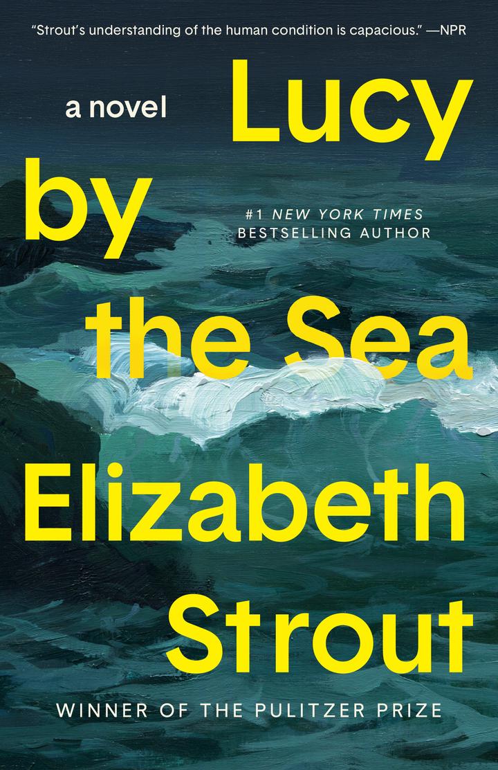 Pageturner November 2023 Elizabeth Strout Lucy by the sea Cover
