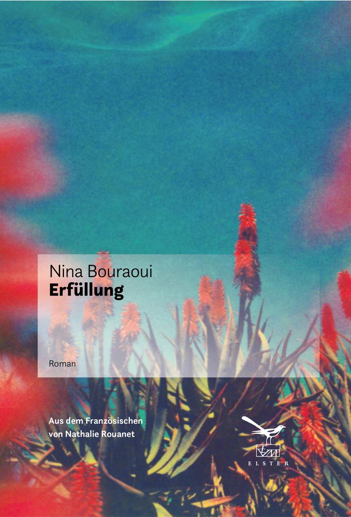 Pageturner Juni 2024 Nina Bouraoui Erfüllung Cover