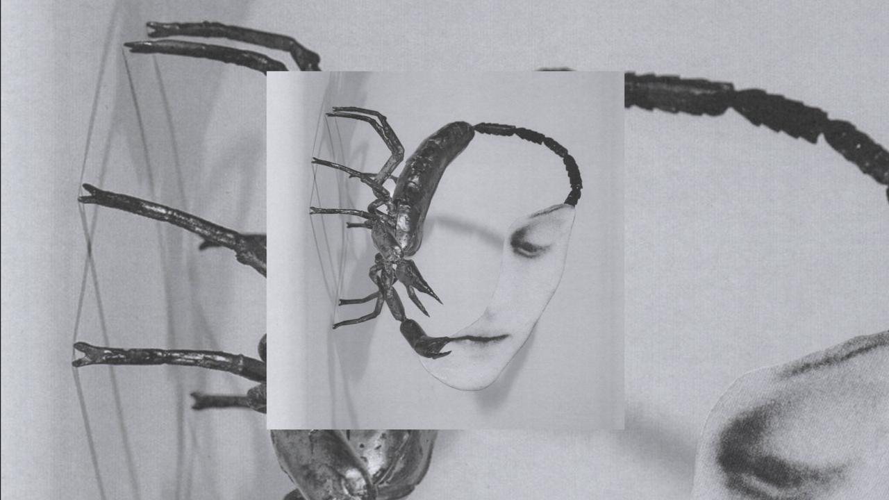 Tortoise Touch Cover