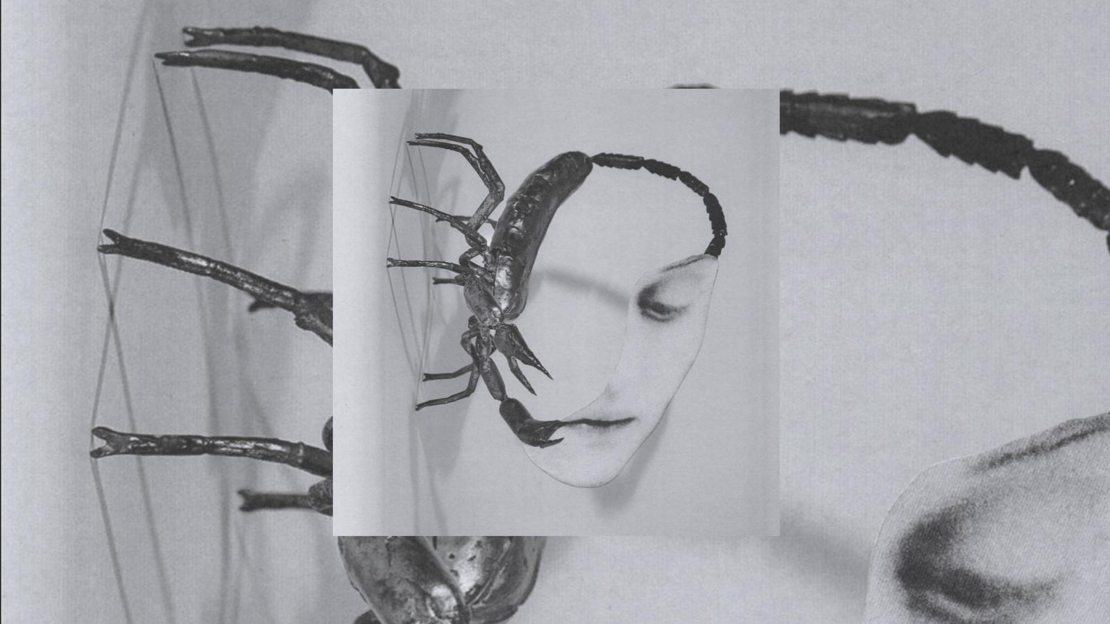 Tortoise Touch Cover